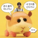 삼일헤어뱅크 | [런던 2주 살기] Day 0~1. 준비를 철저히 아좌좍