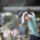 그레이스 이미지