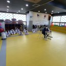 용인대골드태권도장 이미지
