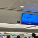 오늘도 뽀송하개 | [25 Dubai] 부자되어야할 이유가 생겼다... 두바이에 다시 돌아와야 하니께 (콘래드 두바이, 두바이몰...