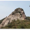 아미산흑염소농장(2) 이미지