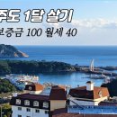 제주도 1달 살기 이미지