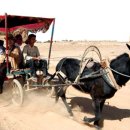 스마일짐 이미지