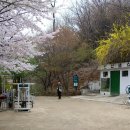 봉구천 티스토리