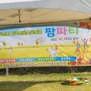 대파니 힐링팜 이미지