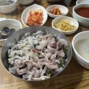 경주초장 | [ 경북 경주 밥집 ] 새벽부터 찾아가는 회덮밥 초장 맛집 ' 용산회식당 '