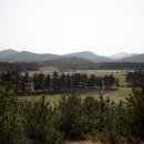 제주의 이유 이미지