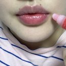 슈가립스 | 내돈내산 립밤 추천 트리헛 슈가립스 립버터 오리지널 &amp; 스트로베리 후기 ❤️