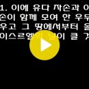 12월 8일 1년 1독 성경읽기 [호세아 1-4장, 요한계시록 1장] [개역개정] December 8 One Year Bible Daily Reading [Hosea 1-4, Revelation 1] 이미지