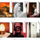 미르컴퍼니 이미지