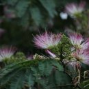 문화재답사 이미지