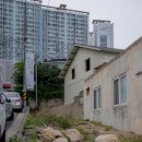 사리나무꽃이피는집 | 포항유강맛집 오리불고기 오리주물럭 : 사리나무꽃이피는집
