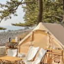 사지목나무그늘 이미지