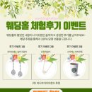 예스웨딩결혼정보 이미지