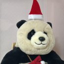 빅파인트리하우스 이미지