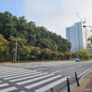 삼성그린약국 이미지