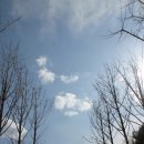 서울숲 곤충식물원 화장실 이미지