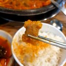 순곱이네 이미지