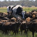 우용농장 이미지