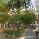 농성공원 네이버블로그