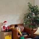 스테이 원평호 이미지