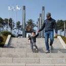 여자의자격 | [호호홈베이직]봄신상 싹쓸이 후기 - 호호홈덕후 인정