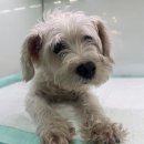 지에스25부천내동점 이미지