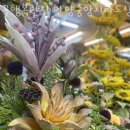 안양중앙지하도상가 이미지