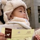 독스마캣 안성롯데캐슬점 이미지