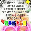 소복도 Daum카페