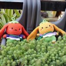 꼬마꼬꼬 이미지