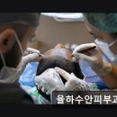 율하수안피부과의원 이미지