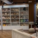 달펫 소동물샵 이미지