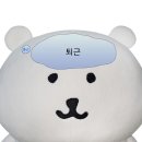 다현수산 | 12월 된 기념으로 저의 일상을 공유해드립니다