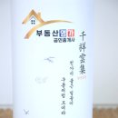 꽃보다부동산공인중개사사무소 이미지