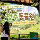 나은 강아지나라 | 청주 아이와 가볼만한곳 청주랜드동물원 관람 후기