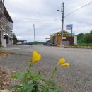 마리펜션 | 주변 볼거리가 많은 파주마리별펜션 후기