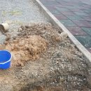 반동초등학교 이미지