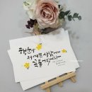 락앤락플러스 이미지