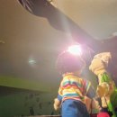 선린초병설유치원 이미지