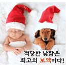 적당한 낮잠은 최고의 보약 이미지