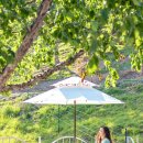 태백운수 이미지