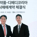 디메디코리아 이미지