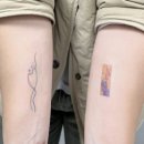 스코비아일랜드 이미지