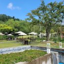 캠프예그리나 이미지