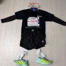 성주 | 2026 성주 참외 마라톤 참가 후기