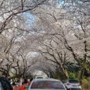 뽀빠이 로컬푸드 이미지