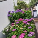 몽산포오페라하우스 이미지