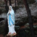 (주)삼**** 이미지