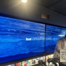 옵티마2층약국 이미지